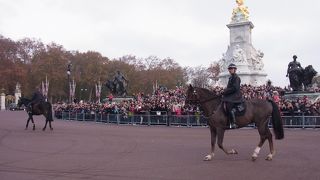 見ごたえあります