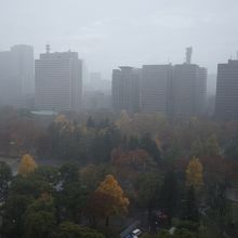 日比谷公園の眺め