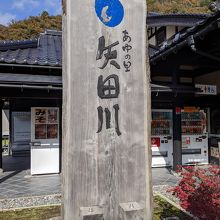 建物脇にあるいちょうがとてもきれいでした
