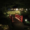 日本庭園の紅葉の頃はライトアップがない