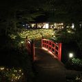 日本庭園の紅葉の頃はライトアップがない