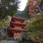 京都の南の端にあるお寺