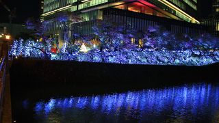 ホワイト＆ブルーのイルミネーションがお堀に映り込んで綺麗