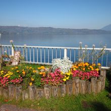 湖畔の遊歩道沿い花壇