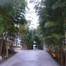 梅窓院の素晴らしい参道です。竹の並びが何とも言えない風情です