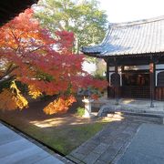 紅葉の絨毯が美しい信長ゆかりのお寺