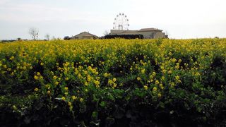 建物と中身のアンバランスさに絶句