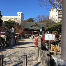 神社参道から本殿を臨む