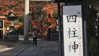 『願いごとむすびの神』の四柱神社に参拝！！