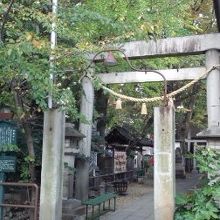 本神社の鳥居の様子です。