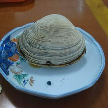 500円硬貨と比較