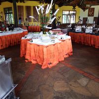 昼食ビュッフェ