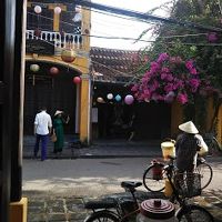 朝食をとりながらの風景