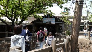 肉を多めに食べたい場合に