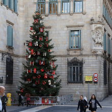 市庁舎前の広場にはすでにクリスマスツリーが飾られていました
