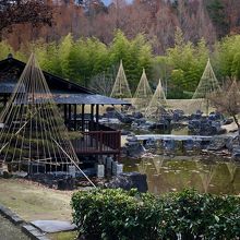 日本庭園、冬でもこの美しさ