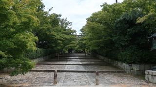 青紅葉も良いものです