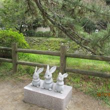 出雲大社境内のしろうさぎ