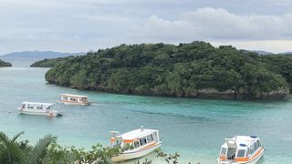まさかのウミガメと遭遇　川平湾のグラスボート　石垣島