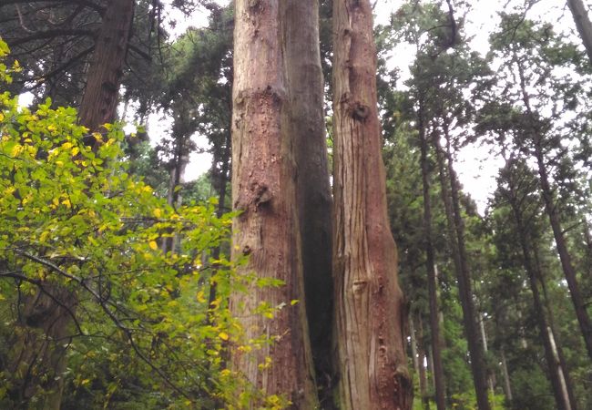 御岩神社 クチコミ アクセス 営業時間 日立 フォートラベル 御岩神社 クチコミ アクセス 営業時間 日立 フォートラベル
