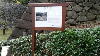 坂道には梅の木