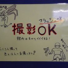 写真撮影は全てOKです