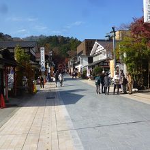 高尾山参道の蕎麦屋街