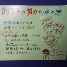 手作りのプレートが至る所で見られます