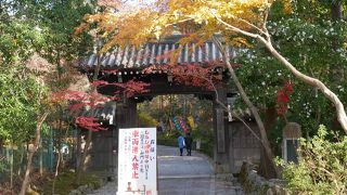 広いお寺