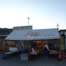 青果直売コーナー