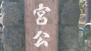 広くて1日過ごせる公園です。