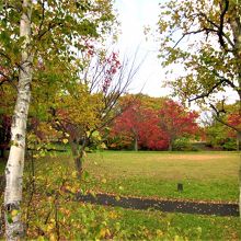 直ぐ前の上長都公園