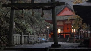 早朝がおすすめ