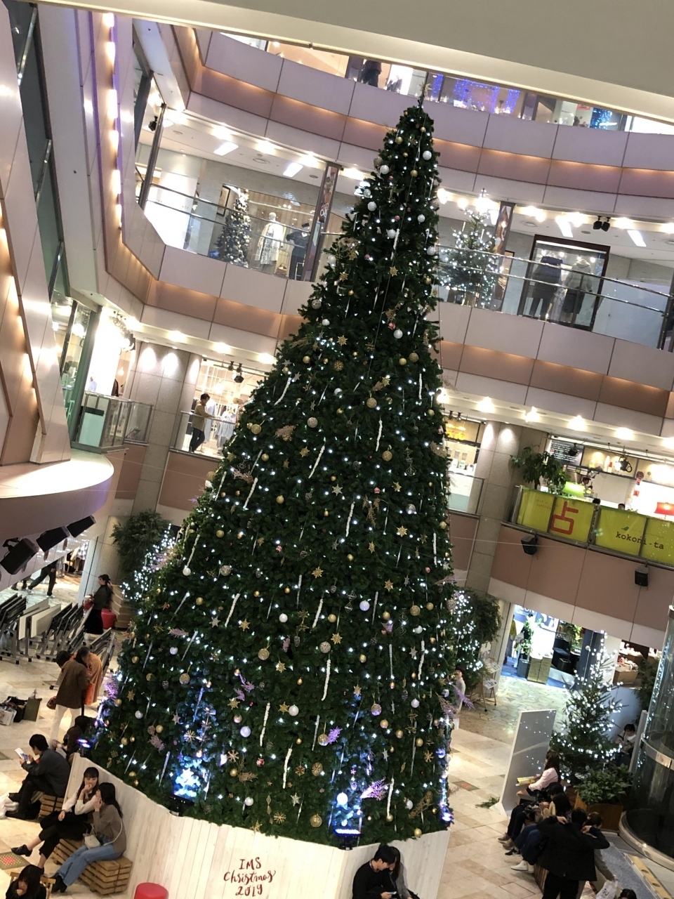 吹き抜けに大きなツリー