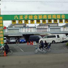 八王子総合卸売市場