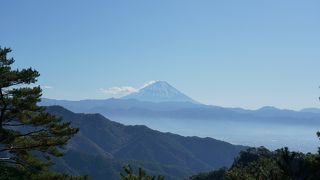 富士山と黄金鯉が見れるロープウェイ