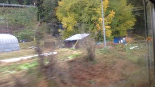 車窓なので大きさがよくわからなかった