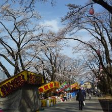 富士森公園の桜 人が少ないせいか、出店は目立ちます