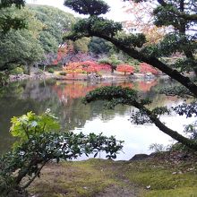 池に映る紅葉