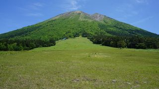 大山を代表する観光ポイントの一つ