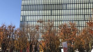 紅葉がキレイでした。