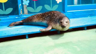 動物たちと触れ合える！ワクワク水族館
