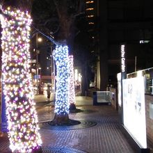 敷地内の木々が電飾で飾られてました