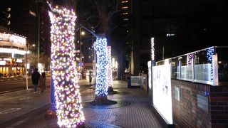 冬はイベントの他に敷地内のイルミネーションも見どころ