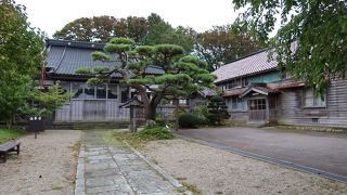 八方睨みの龍だけ