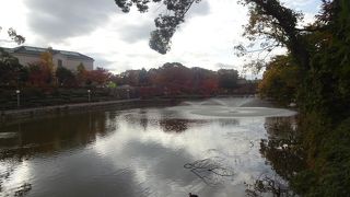 池の周辺は晩秋の装い。