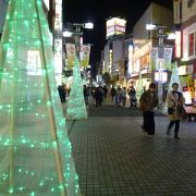 高級感がある隠れ家的な居酒屋