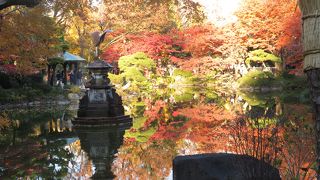 紅葉が池に映り込んでいました！