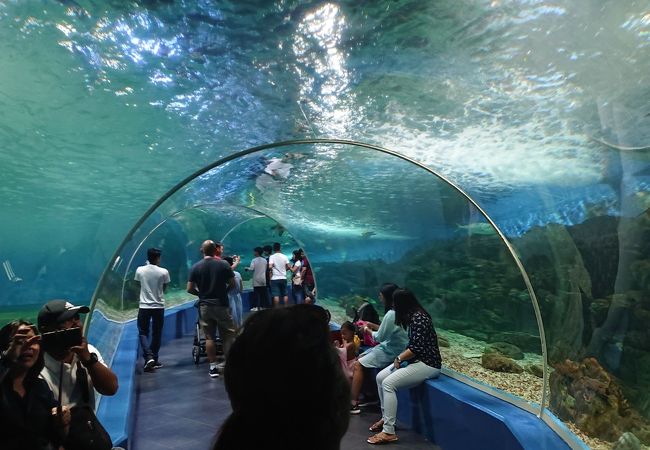 マニラ水族館
