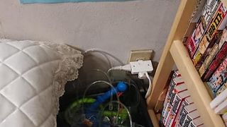 子供のおもちゃを借りらえる銭湯